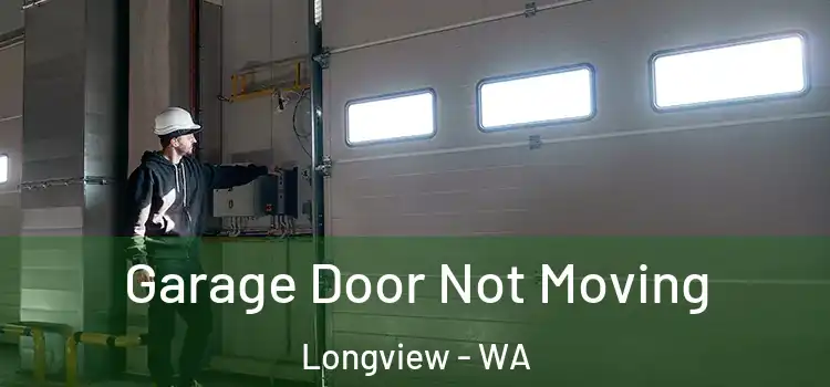  Garage Door Not Moving Longview - WA