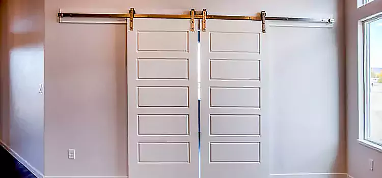 Glass Barn Door with Installation Hardware Kit Longview